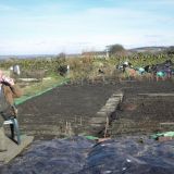 Mid March and we've cleared around half the plot.  That beer tasted so good!